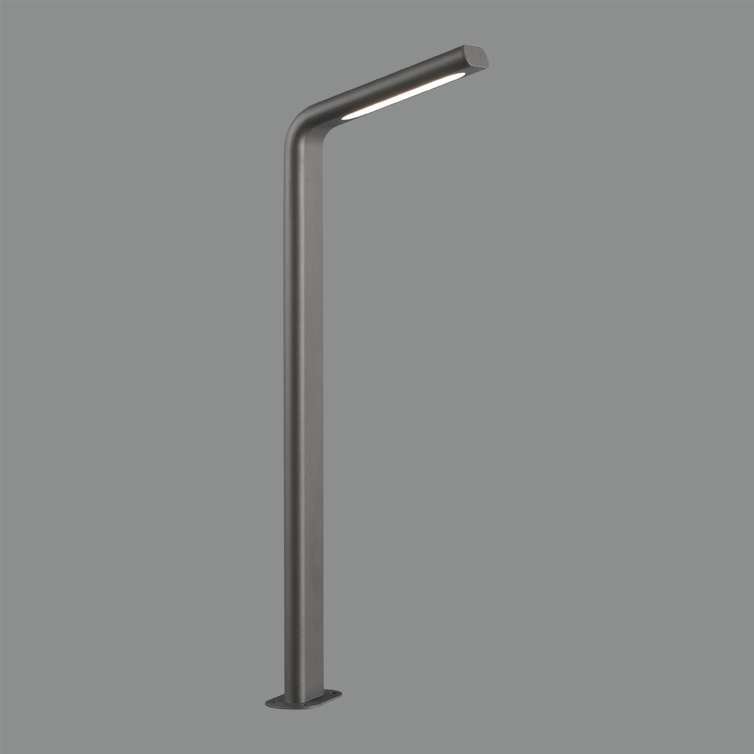 Zen Path Light