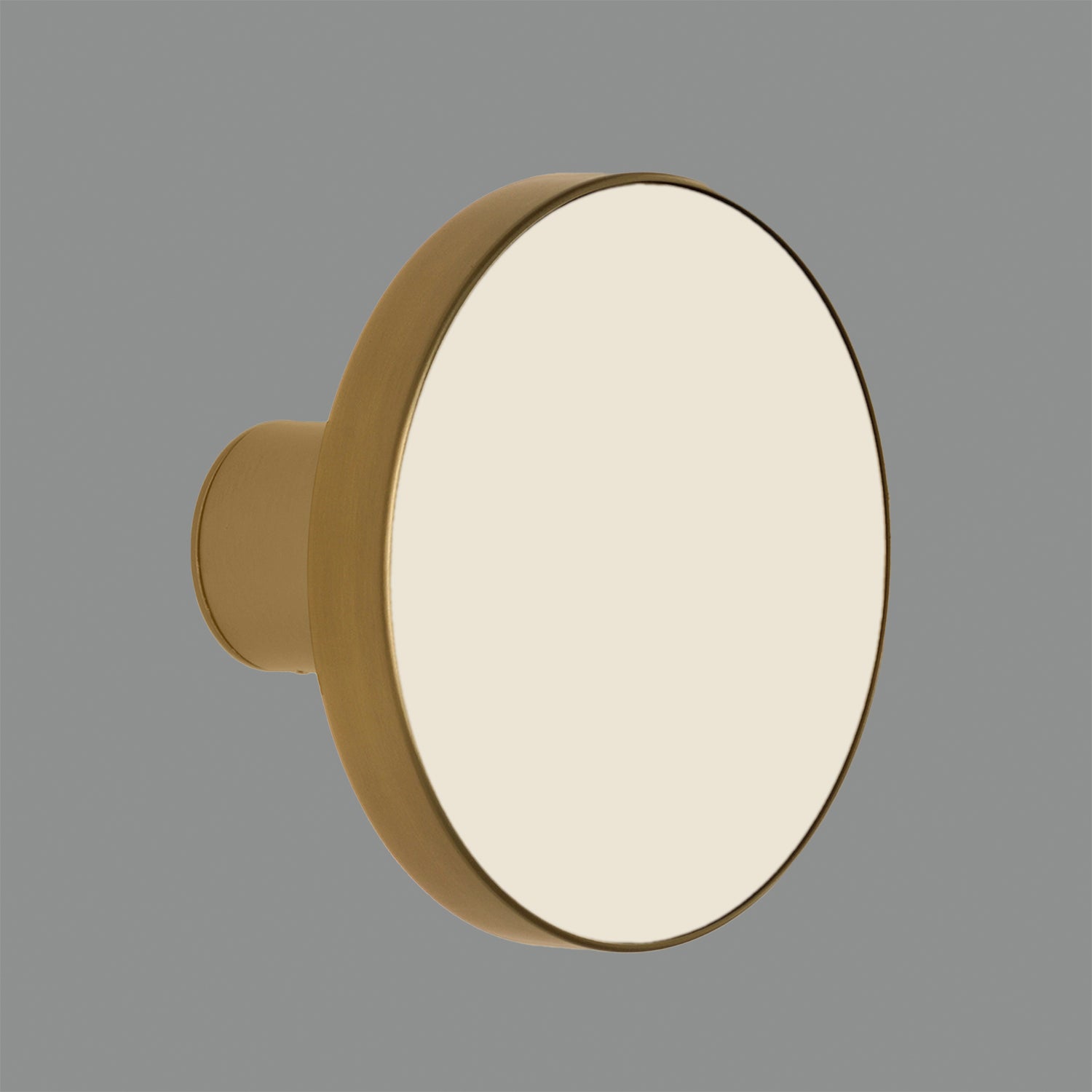 Chamaleon Wall Lamp