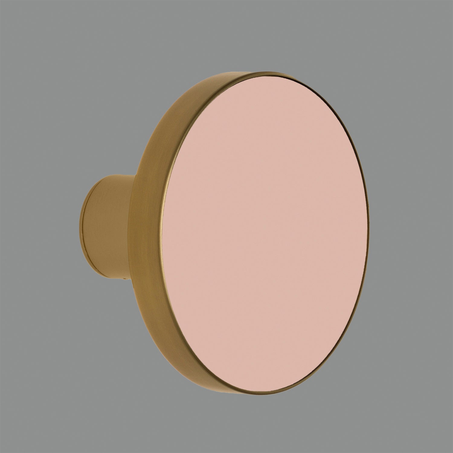Chamaleon Wall Lamp