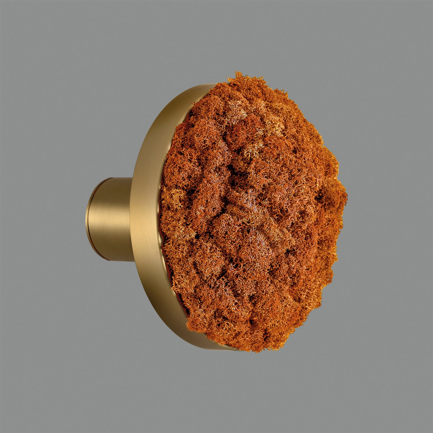 Chamaleon Wall Lamp