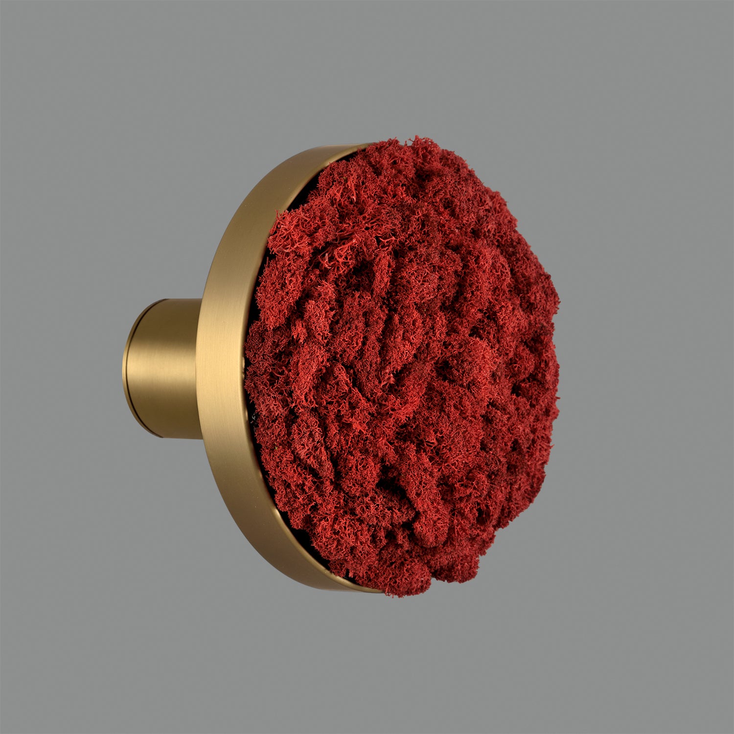 Chamaleon Wall Lamp