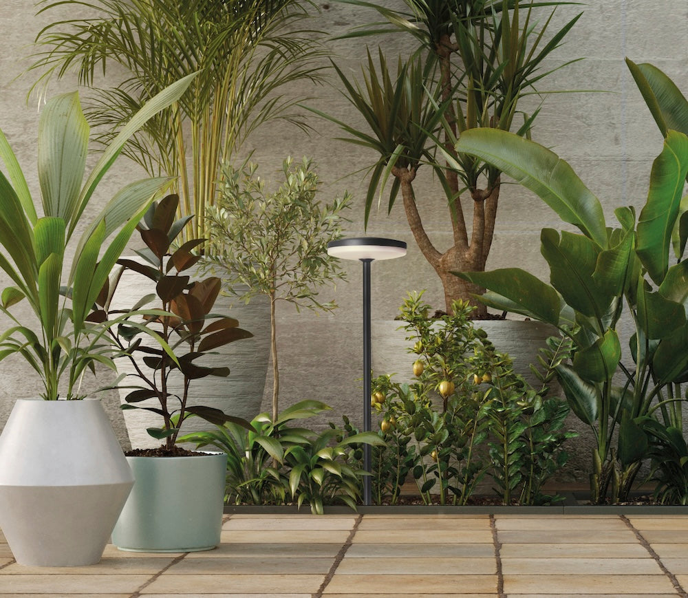 Shedir Path Light