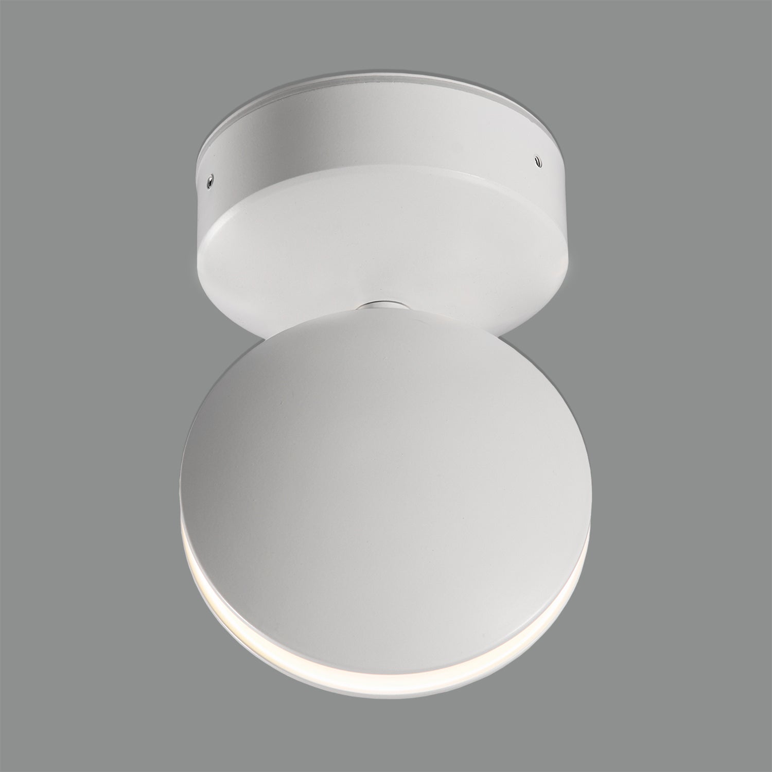 Spectra Ceiling Lamp